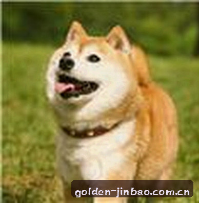 孙鹏